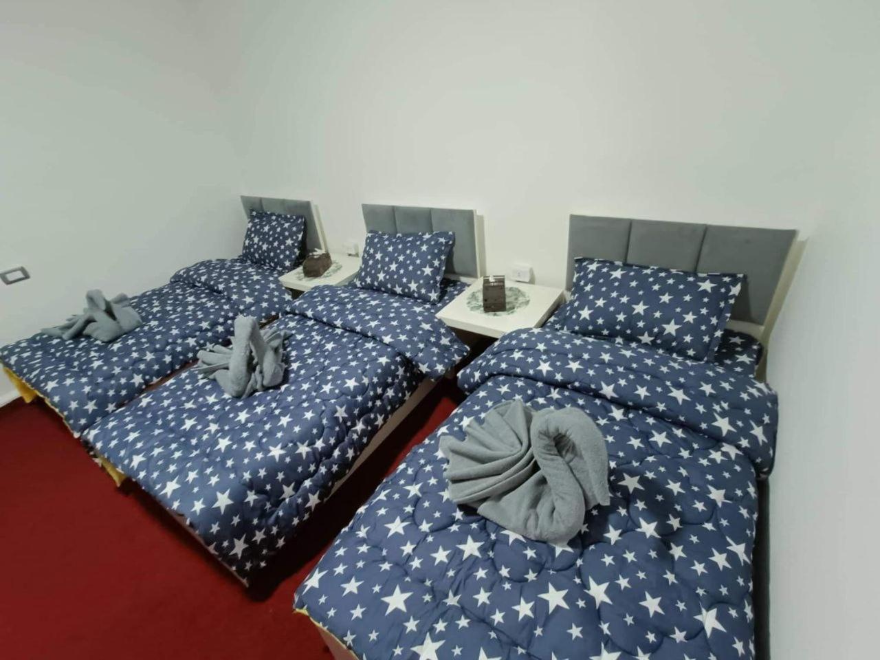 Petra Casablanca Hotel 와디무사 객실 사진